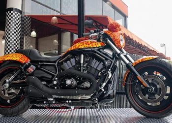 Harley Davidson Cosmic